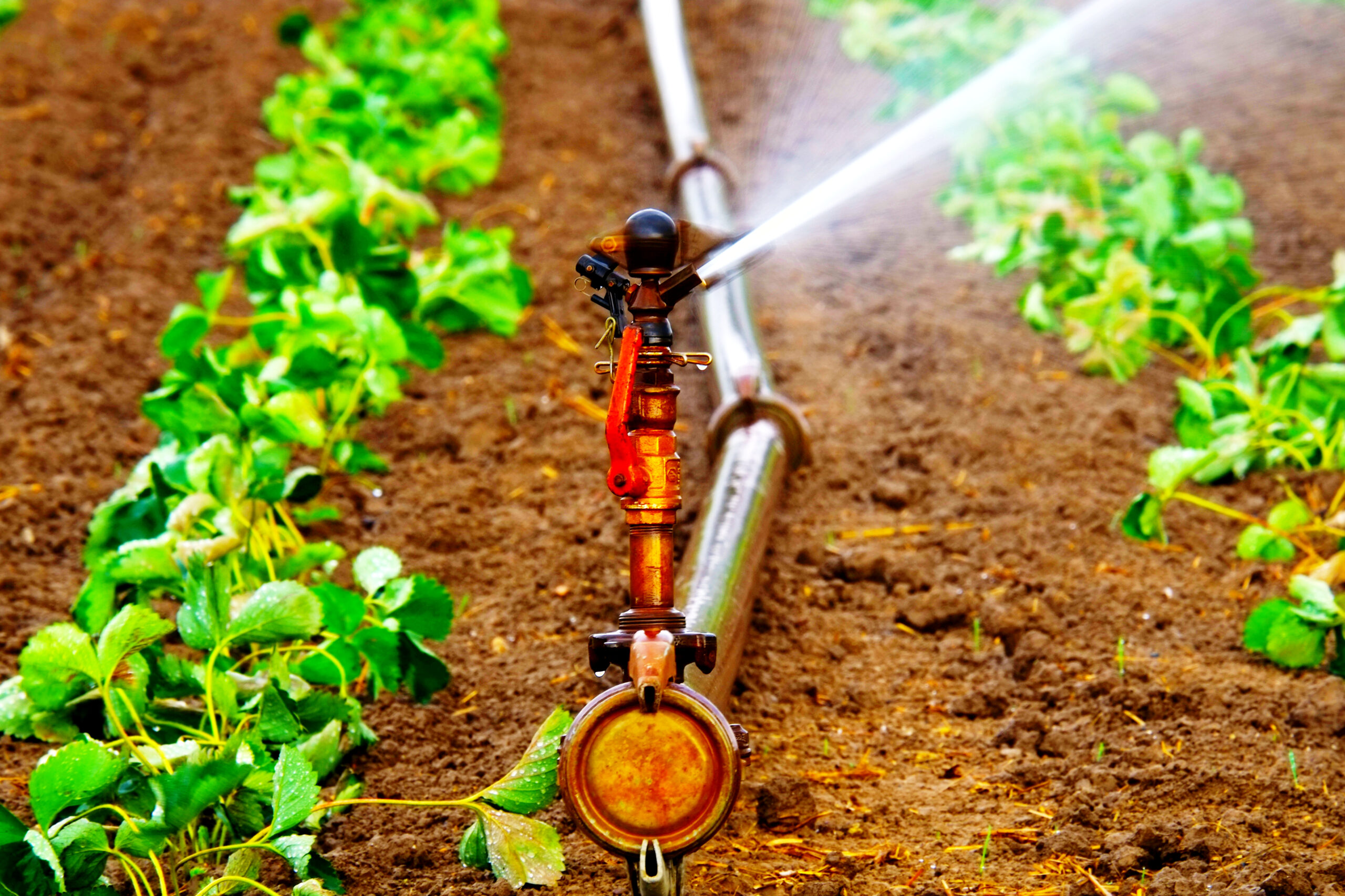 Winstone Pumps | Bombas de agua para Pozo Profundo | CUERPOS HIDRÁULICOS DE Winstone Pumps | Bombas de agua para Pozo Profundo | Contacto | Cálculo altura manométrica